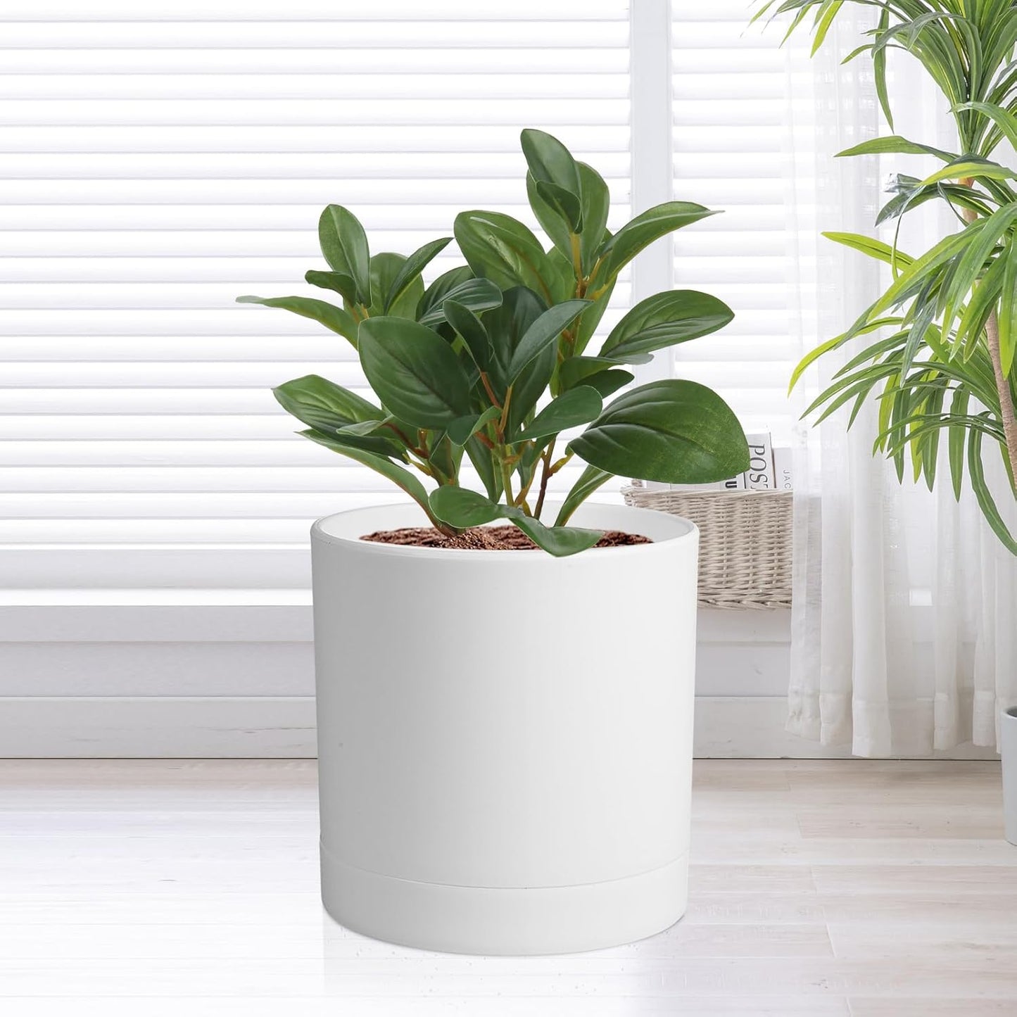 6/5/4 inch Flower Pots, Pack of 3 Cylinder Plant Pots for Small Indoor Outdoor Plants, Plastic Planters with Drainage Holes and Saucers for Garden Succulent Nursery House Plants, White