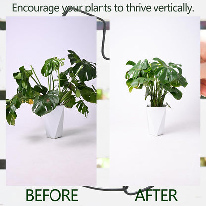 5PCS Black Monstera Plant Stem Support 9x7.6in - Adjustable & Durable Indoor Plant Stake for Cactus and Climbing Plants - Ideal Leaf Support for Gardening & Home Decor
