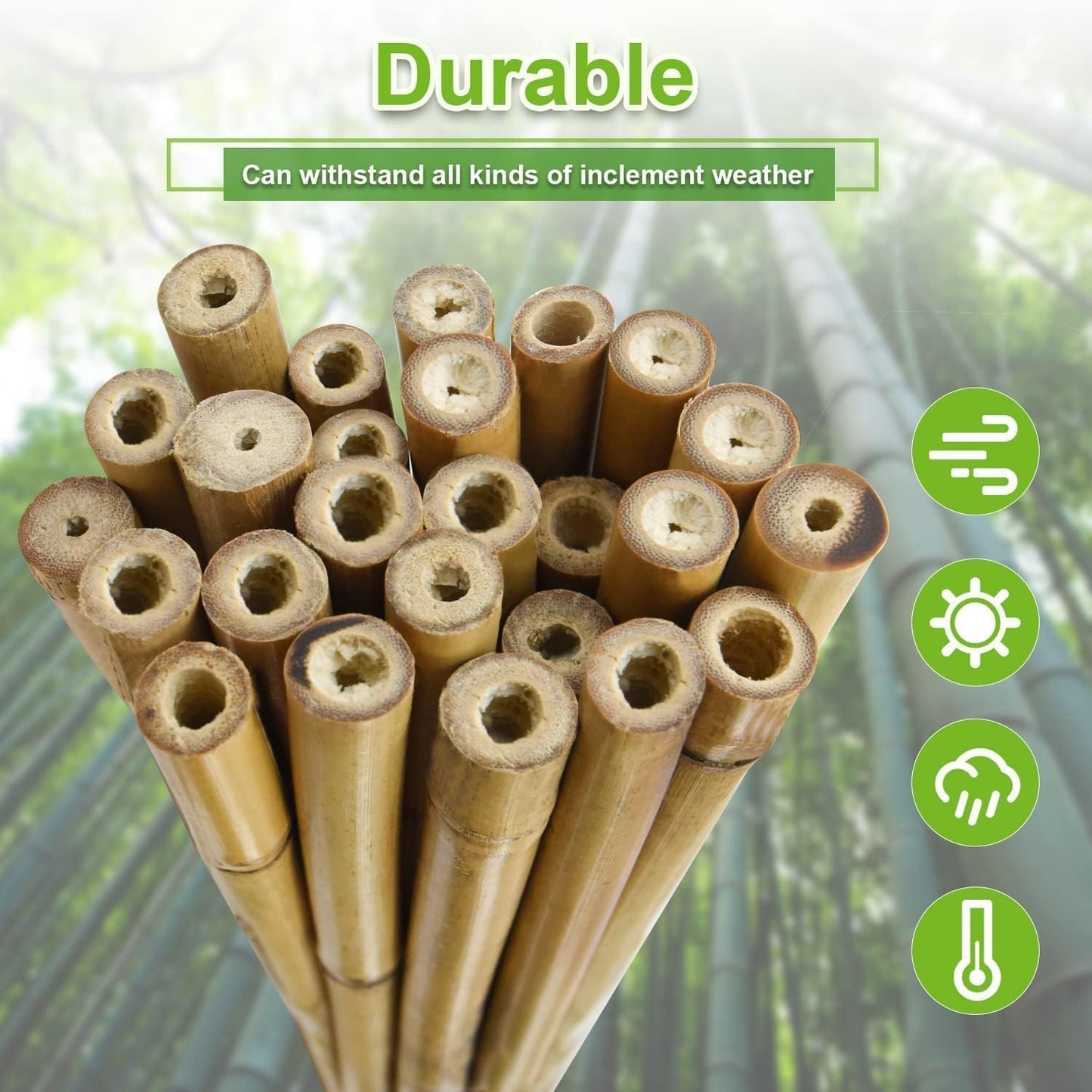 5/8" D 6 Feet Bamboo Stakes 50 Pack, Thicker Heavy-Duty Plant Stakes, Natural Garden Stakes for Bean, Tomato, Bean, Flowers,Trees Potted and Climbing Plant Support