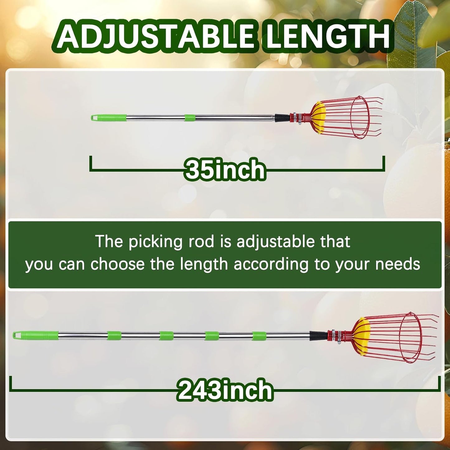 20 Ft Fruit Picker with Wire Basket and Bag Basket,Adjustable Stainless Steel Fruit Picker Pole with Universal Thread Head,35-243 Inch,Pick Fruit Tool,Suitable for Picking Apples,Mangoes and Others