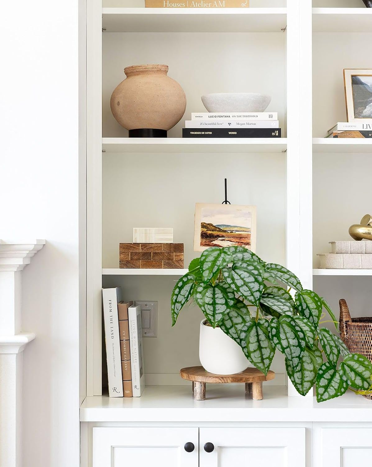 DILATATA Fake Plants Indoor 8 Inch Artificial Watermelon Plant in White Ceramic Pot - Faux Potted Pothos Plant for Home Aesthetic Decor Living Room Shelf Office