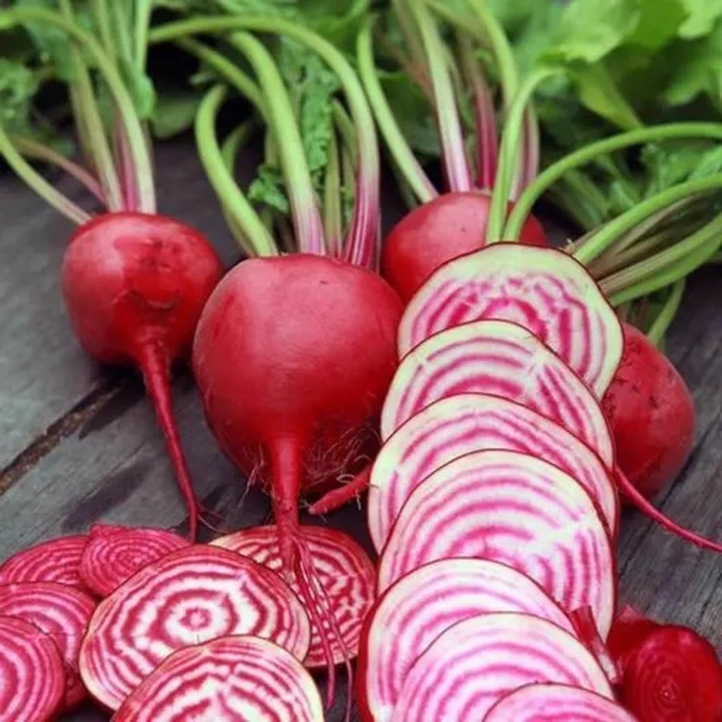 Chioggia Beet Seeds for Planting – Plant & Grow Heirloom Chioggia Beets in Home Outdoor Vegetable Garden, Beta vulgaris – 5 Packets