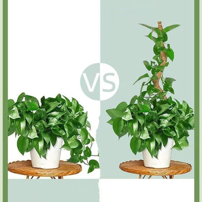 Moss Pole,2 Pack 27 Inch Monstera Plant Support, Upgraded 7mm Aluminum core Moss Poles for Climbing Indoor Plants DIY, Coco Coir Plant Pole Moss Plant Stick Support Stake Kit for Potted Plants Pothos