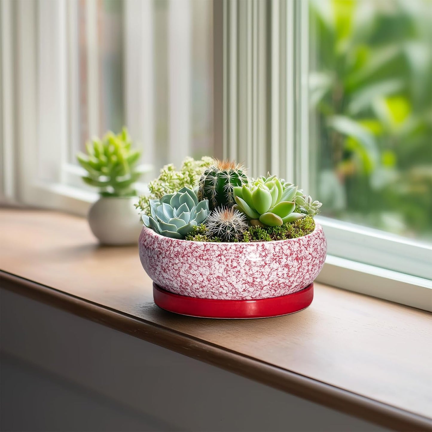 Bonsai Pots Small - 6 Inch Ceramic Succulent Pots with Drainage Hole and Ceramic Saucer, Succulent Planters Indoor Outdoor, Shallow Round Planter, Apartment Decor, Housewarming Gifts, Red