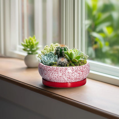 Bonsai Pots Small - 6 Inch Ceramic Succulent Pots with Drainage Hole and Ceramic Saucer, Succulent Planters Indoor Outdoor, Shallow Round Planter, Apartment Decor, Housewarming Gifts, Red