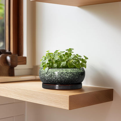 Succulent Pots 6 Inch - Ceramic Bonsai Pots with Drainage Hole and Saucer, Succulent Planters for Indoor Outdoor, Small Shallow Planter, Round Cactus Pot, Room Decor, Plant Lover Gift, Green