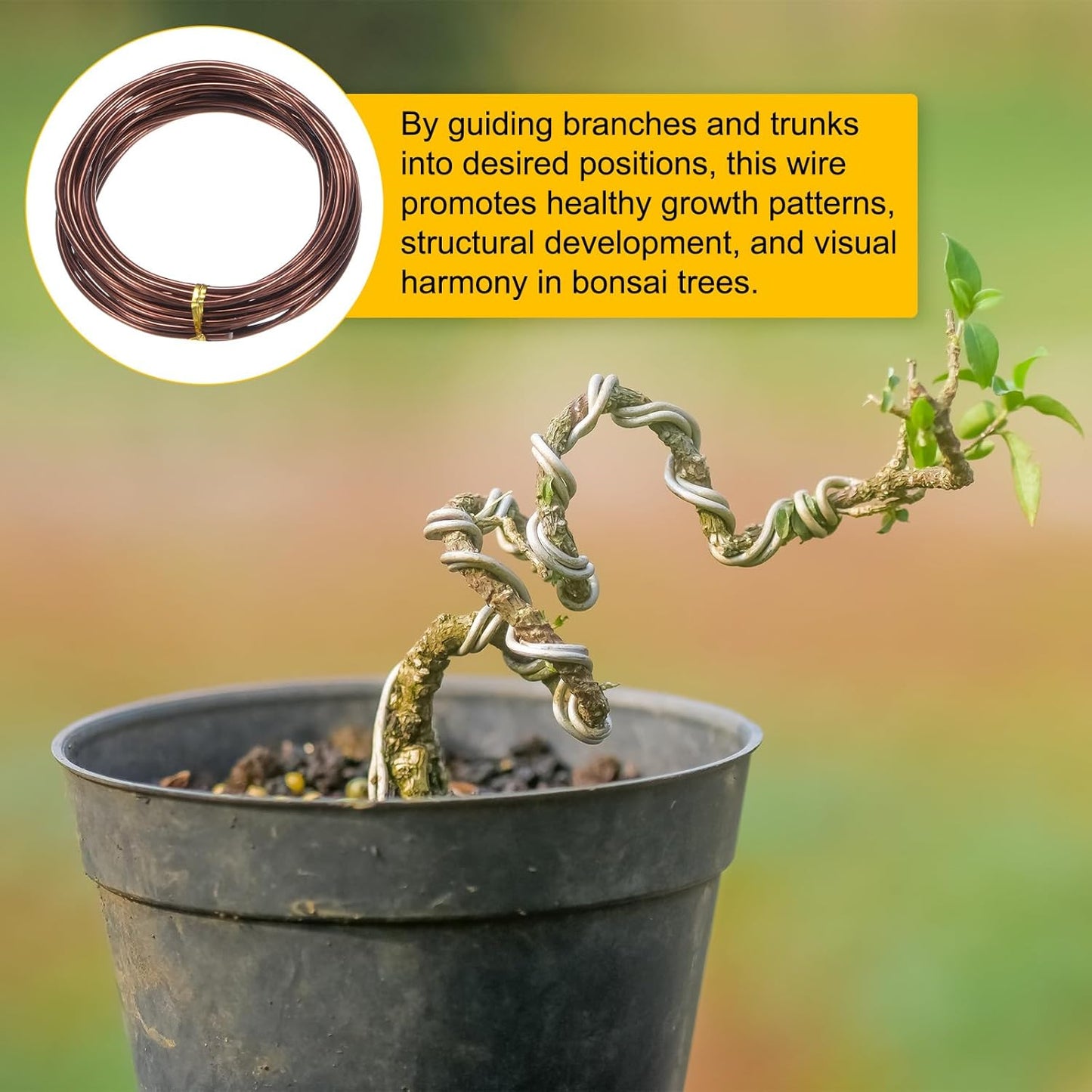 2.5mm Bonsai Training Wire, 16.4 Feet Total Anodized Aluminum Bonsai Wires for Bonsai Tree Shaping/Branches Fixing/Trunk Holding/DIY Crafting [Bronze]