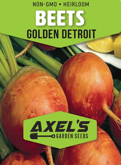Golden Detroit Beet Seeds for Planting – Plant & Grow Heirloom Golden Detroit Beets in Home Outdoor Vegetable Garden, Beta vulgaris – 2 Packets