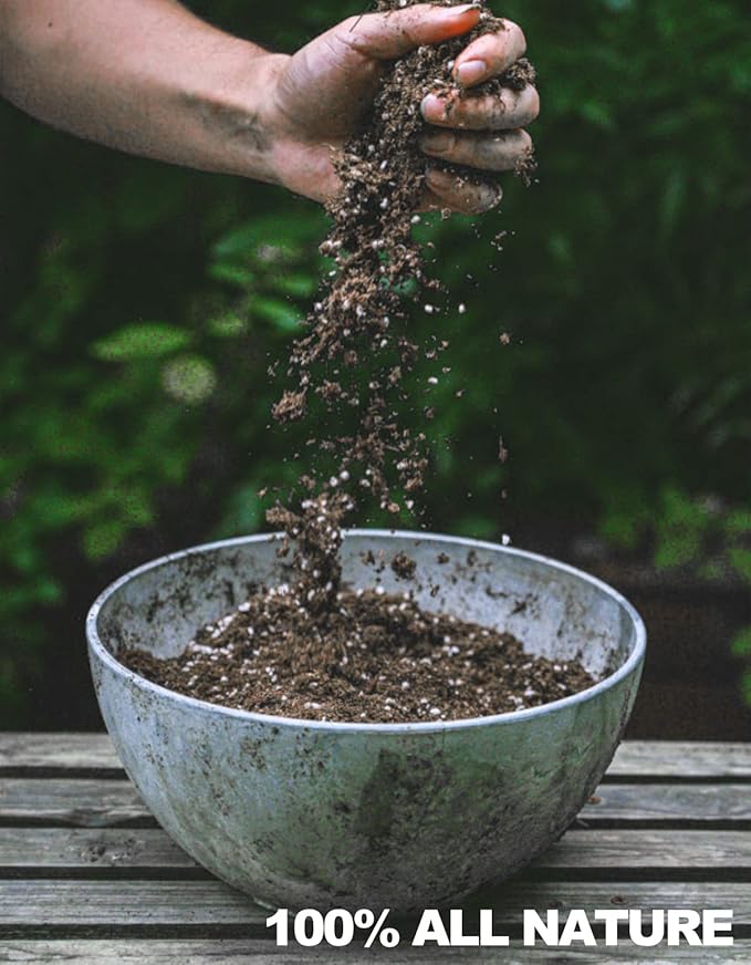 Carnivorous Plant Soil Mix, 2 QT Small Size Bag for Repotting, All Natural Ingredients Great for Venus, Sundews, and Pitcher Plants