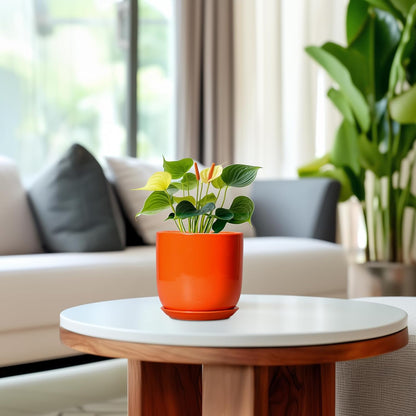5 Inch Plant Pot - Ceramic Planter for Succulent Cactus Herbs Indoor Plants, Modern Round Flower Pot with Drainage Hole and Saucer, Gifts for Plant Lovers, Patio Office Home Decor, Orange