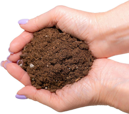 GARDENERA Money Tree Potting Soil Mix for Planting or Repotting Guiana Chestnut, Soil Blended to Properly Grow Money Tree Plants (3 Quart Bag)