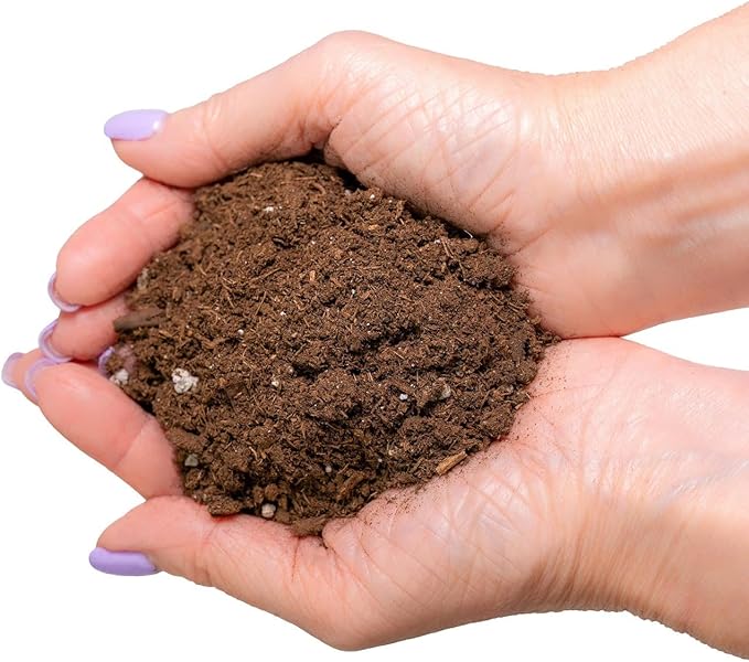 Give Your Mandarin Trees The Best Growing Environment - Gardenera Premium Potting Soil for Bountiful Harvests - 2 Quart