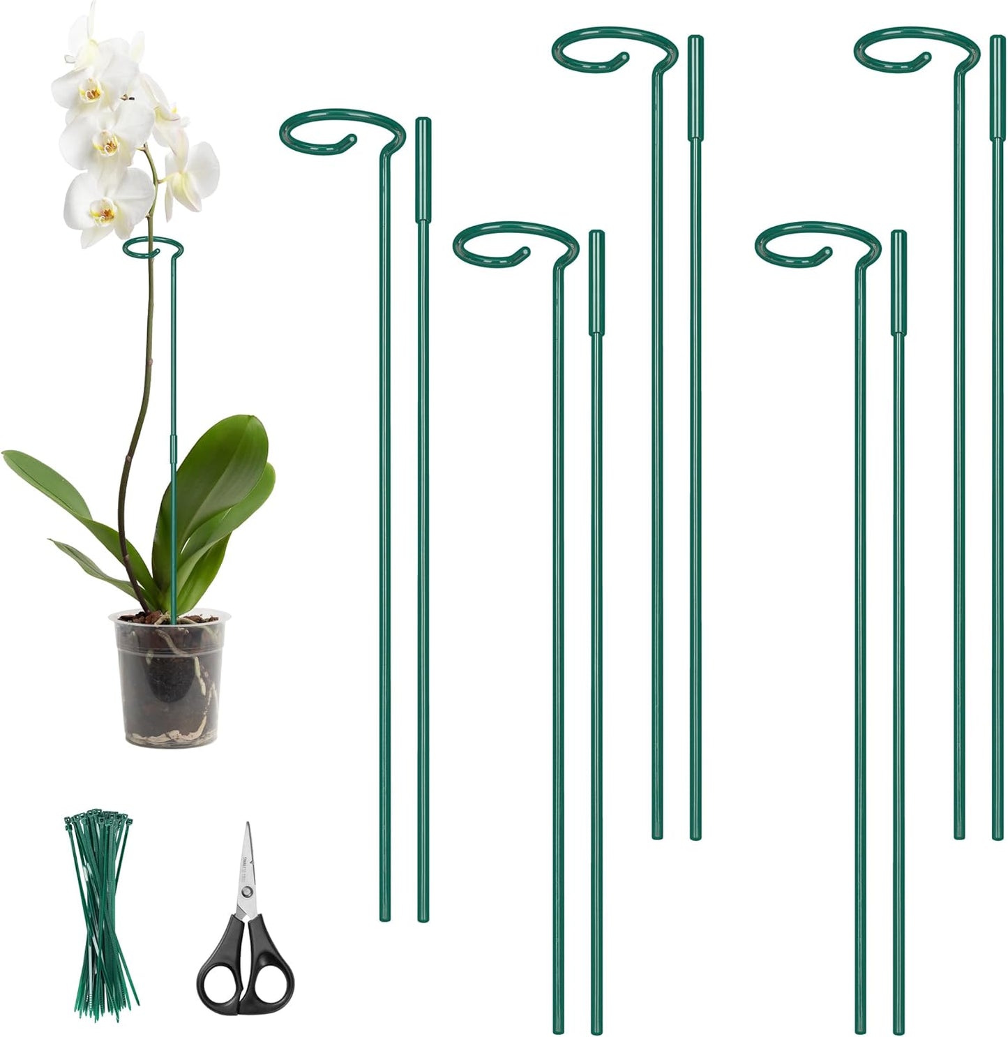 Kingsyard 5 Pack Plant Stakes and Supports - 4.5mm Thick Adjustable Sizes 16 or 32 Inch, Metal Monstera Plant Supports for Outdoor Plants and Indoor Plants, Plant Stem Support for Flowers Tomatoes