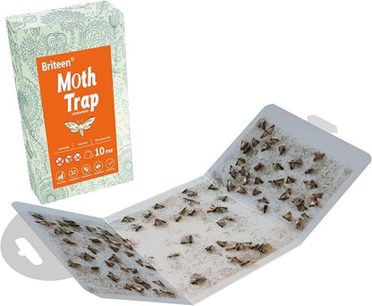Pantry Moth Traps 10-Pack Safe and Effective for Food and Clothing- Glue Traps with Pheromones for Wool Closet Carpet Food and Cupboard K03