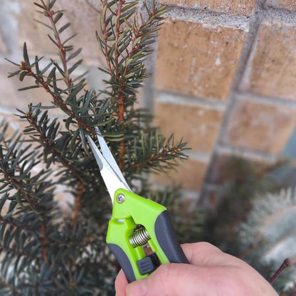 15 PCS 6.5 inch Garden Pruning Shears, Gardening Hand Pruners with Straight Stainless Steel Precision Blades, Pruning Shears Bud Trimming Scissors for Flowers Branches Precise Cuts