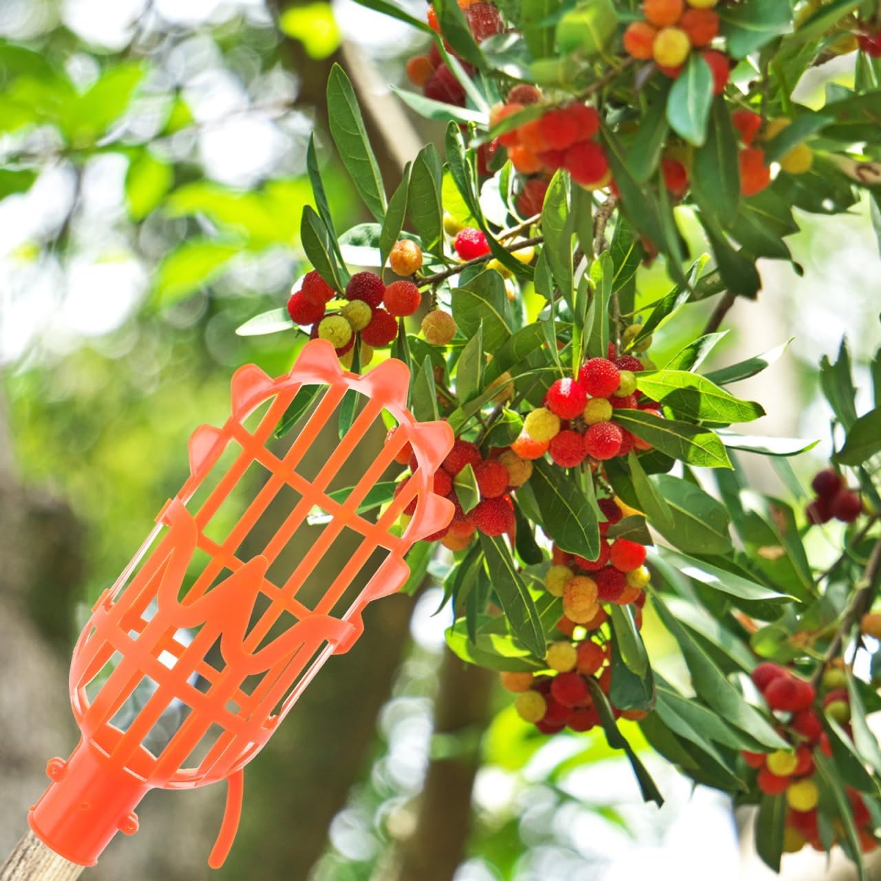 2pcs Fruit Picker Tool Basket Jujube and Pomegranate Harvesting Tool for Garden Telescoping Fruit Catcher for Orchard Use
