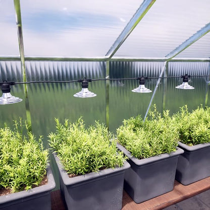 12-Light Outdoor LED Grow Lights – Waterproof Full Spectrum Greenhouse Lights for Plants, 41FT Adjustable String Lights with 576 LEDs, E26 Base Bulbs, IP44 Waterproof for Garden, Farm, Yard