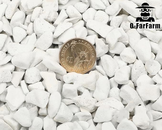 Chunky Perlite Bulk, Horticultural Pearlite Coarse Perlite for Plants Indoor, Additive Conditioner Mix, Improve Drainage and Ventilation, Help Root Growth(5-10mm, 1qt)