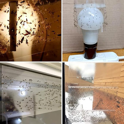 100 Pack Window Fly Trap, Fruit Fly Traps for Indoors, Fly Paper Sticky Strips, Fly Traps for Indoors Bug Catcher Clear