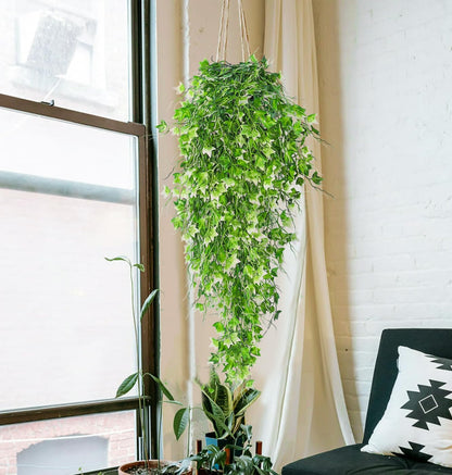 RECUTMS Artificial Hanging Plant - Faux Ivy Vine With White UV Resistant Leaves for Room, Office, Wall Decor (White)
