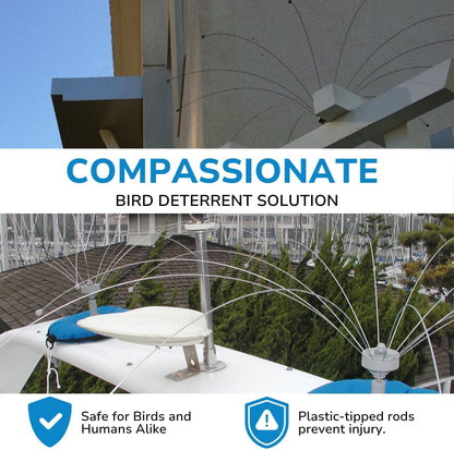 Bird Barrier Daddi Long Legs - 6 Ft | Scare Birds Away with Innovative Bird Spider Design | Bird Deterrent for Outside | Easy Installation on Roofs, Boats & HVAC Units | Durable Stainless Steel/Delrin