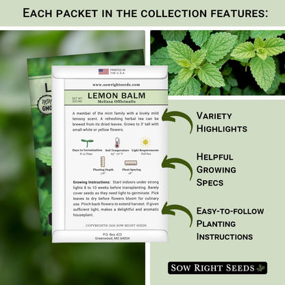 Sow Right Seeds - 15 Herb Garden Seed Collection for Planting - Essential Herbs for Cooking - Non-GMO Heirloom Packet Instructions to Grow Kitchen Garden Indoors or Outdoors - Great for Hydroponics