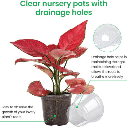 30 Packs 6.7/5/4 Inch Reinforced Clear Nursery Pots with Drainage Hole, Transparent Variety Pack Plastic Plant Pot Seedling Planter Seed Starter Flower