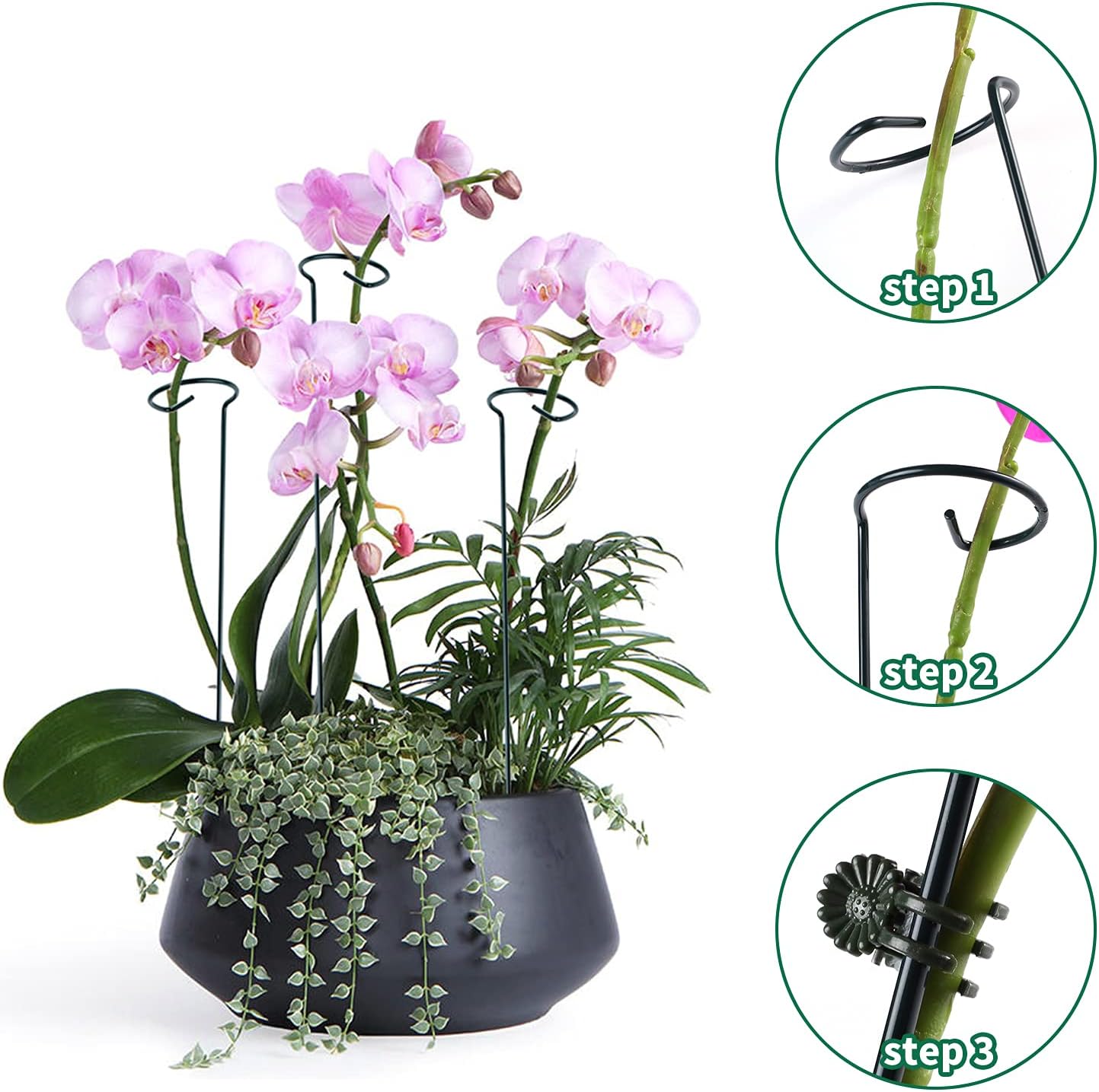 6 Pack Plant Support Stakes with 24 Pcs Plant Clips,Single Stem Support Stake Plant Cage Support Ring for Garden Flowers Rose Tomatoes Peony Lily Rose Herbs Vegetable (16 Inch)