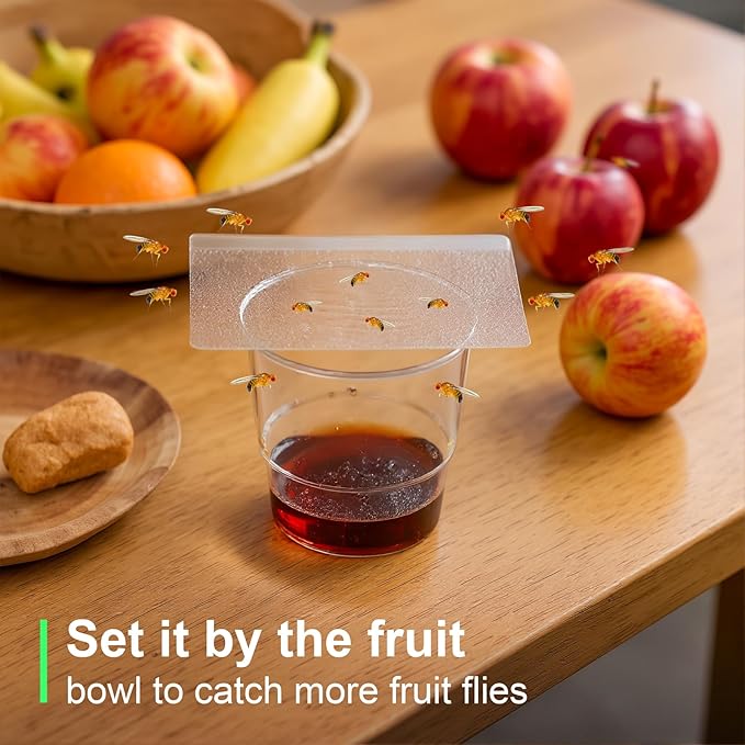 Fruit Fly Trap Covers, Double-Sided Sticky Adhesive Cards for Gnats, Fruit Flies, Moths, Kitchen Insect Control (49 Pcs)