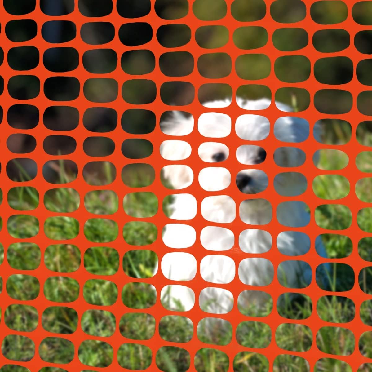 Ashman Plastic Mesh Fence, 4'x50' Feet, 1 Roll, Orange, Construction Barrier Netting, Garden Fencing, Fences Wrap, Above Ground, for Snow, Poultry, Chicken, Deer, Patio, Garden Netting, Orange 50FT.