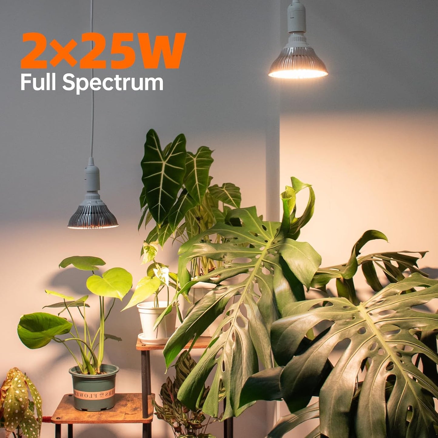 Bstrip Hanging Grow Light, 50W (25W X 2), One Cord Double Head, Led Grow Lights for Indoor Plants, Full Spectrum, Grow Lights for Seed Starting, Hanging Plant Light Bulbs with 16.4FT Power Cord