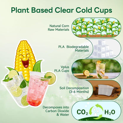 Vplus 16 oz Compostable Clear Plastic Cold Cups, 100 Pack Biodegradable Disposable Cups, BPA & PFAS Free, Plant-Based Plastic Cups for Juice, Wine, Parties, Weddings, and Everyday Use