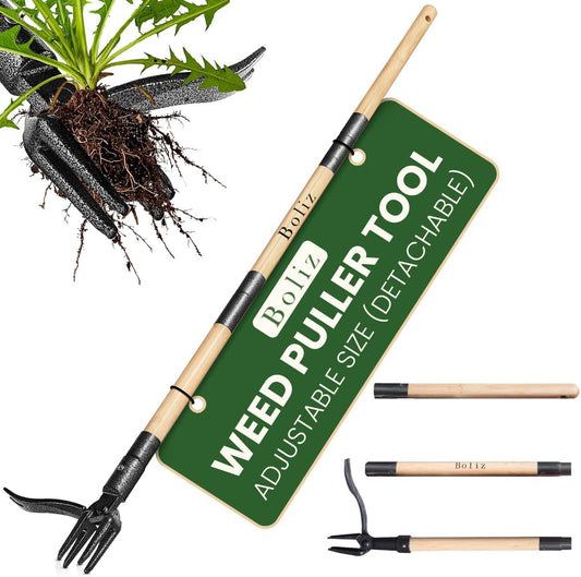 46” Detachable Weed Puller Tool Stand up Heavy Duty with 4-Claw Steel Head, Real Bamboo Garden Weed Pulling Tool, Weed Remover Tool Without Bending