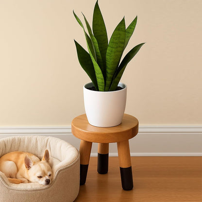 Rubber Wood 9" Round Plant Stand |Dip Dyed Black Stool, Wood Riser |Milking Stool (8" H)