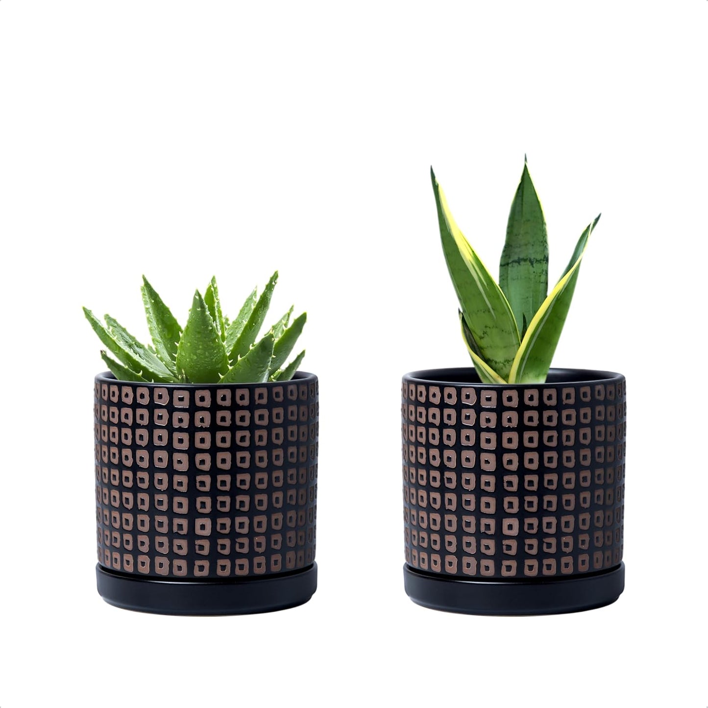 D'vine Dev Set of 2 Ceramic Planter Pots with Drainage Hole and Saucer, 4.5 Inch Plant Pots for Plants Indoor Houseplants, Black, 99-Z-A-2-V