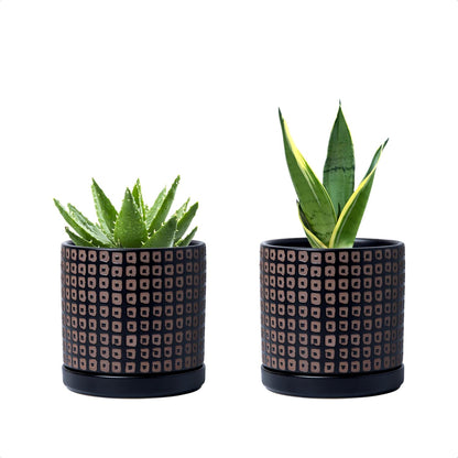 D'vine Dev Set of 2 Ceramic Planter Pots with Drainage Hole and Saucer, 4.5 Inch Plant Pots for Plants Indoor Houseplants, Black, 99-Z-A-2-V