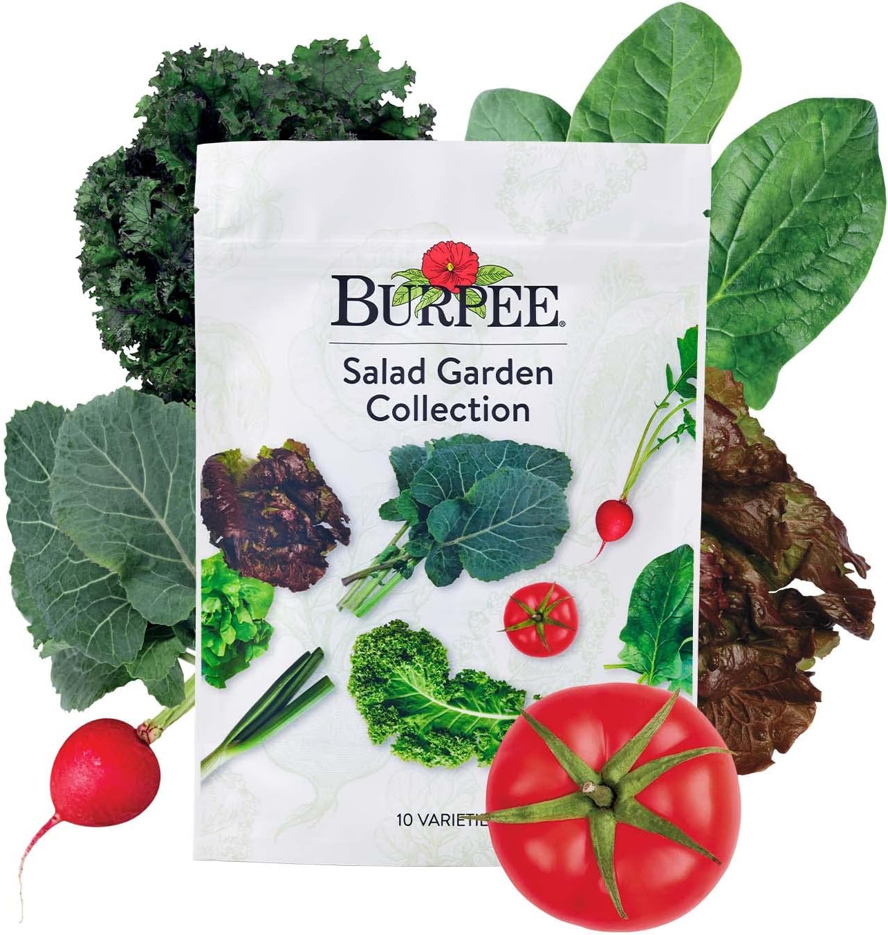 Burpee Salad Garden Collection 10 Packets of Non-GMO 4 Lettuce Varieties Tomato, Radish, Spinach, Kale, Scallions & Mesclun Mix | Seeds for Planting Vegetables
