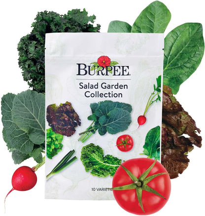 Burpee Salad Garden Collection 10 Packets of Non-GMO 4 Lettuce Varieties Tomato, Radish, Spinach, Kale, Scallions & Mesclun Mix | Seeds for Planting Vegetables