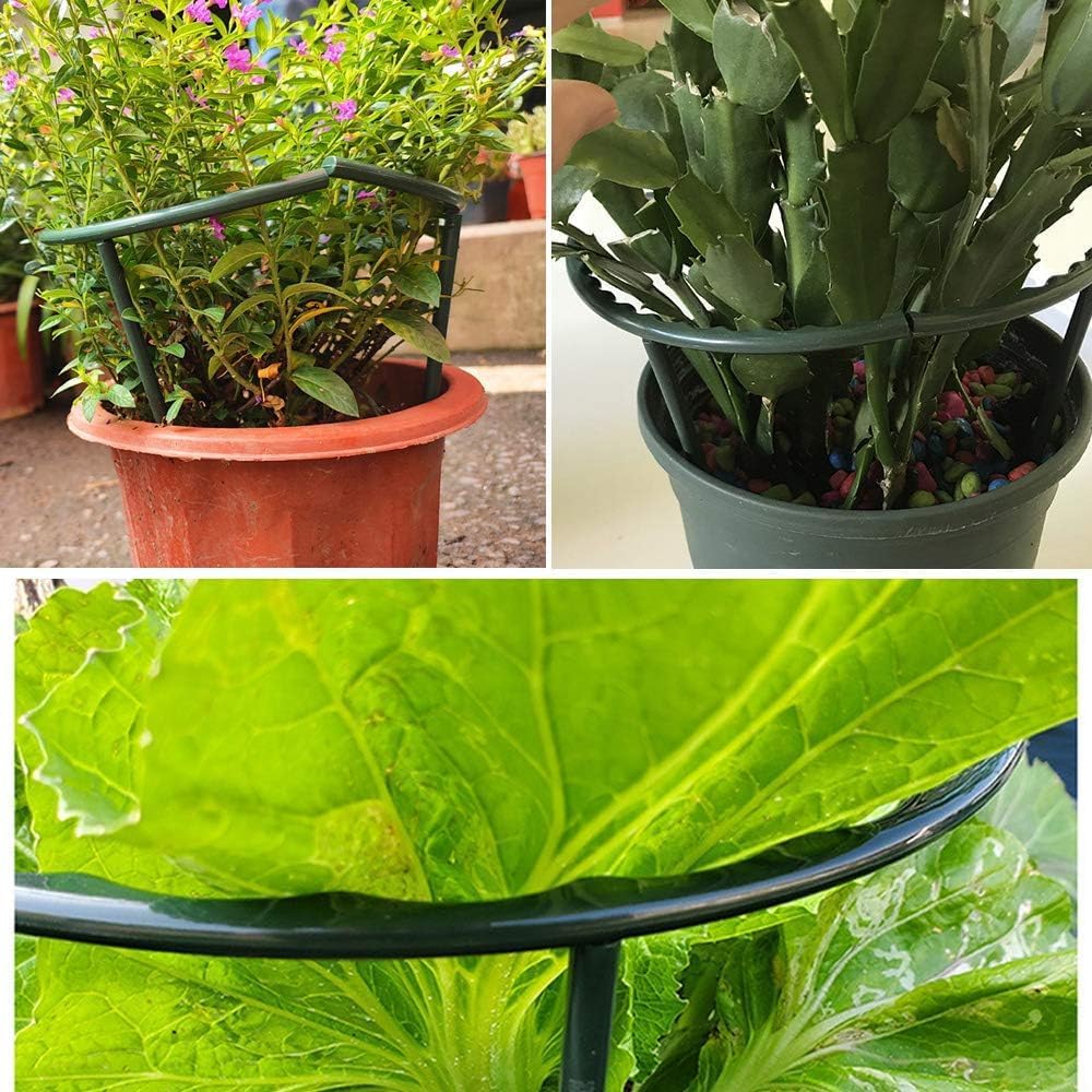 10 Pack Plant Support Plant Stakes Metal Half Round Search Support Ring Small Plastic Cage Holder Short Stem Flower Pot Climbing Trellis for House Flower Vegetable Indoor Leafy(5.7 x 9.8inch)