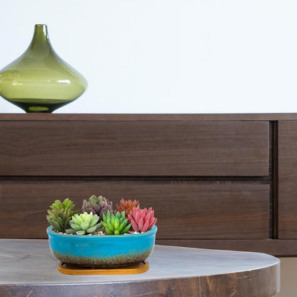 Succulent Pots, 7.9 Inch Long Rectangular Succulent Planters with Drainage Tray, Shallow Planters for Indoor Plants Ceramic Cactus Pots Glazed Bonsai Flower Plant Container for Home Windowsill Decor