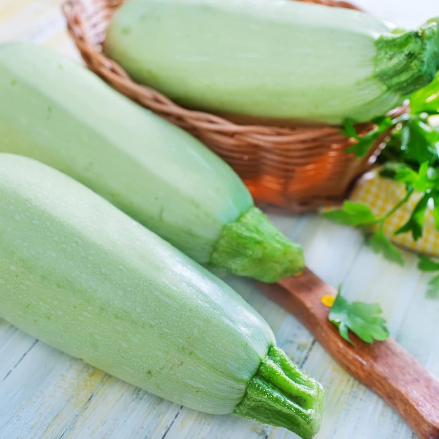 Squash Seeds - Summer - Vegetable Marrow White Bush - 1 Oz ~250 Seeds - Cucurbita Pepo - Non-GMO, Heirloom - Farm & Vegetable Garden