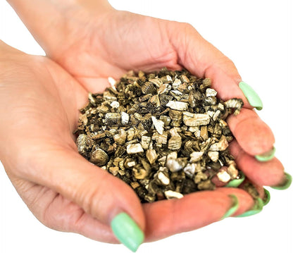 Horticultural Organic Vermiculite by GARDENERA - (Made in Ukraine) - Medium Grade - Natural Soil Additive for Potted Plants, Orchids, Hydroponics, Terrariums (2 Quart)