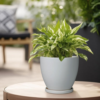 6.8 Inch Planter - Ceraimc Pots for Indoor Outdoor Plants Round Planters Modern Flower Pot with Drainage and Tray Home Garden Decor Gray