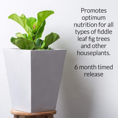 Fiddle Leaf Fig and House Plant Fertilizer Pellets |16-5-11 Slow Release Pellets for Seedlings and Mature Houseplants | Multi-Purpose Blend & Gardening Supplies| 5.2 oz Resealable Packaging