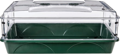 EarlyGrow 93774 Domed Propagator, 1 Height Extender, Green