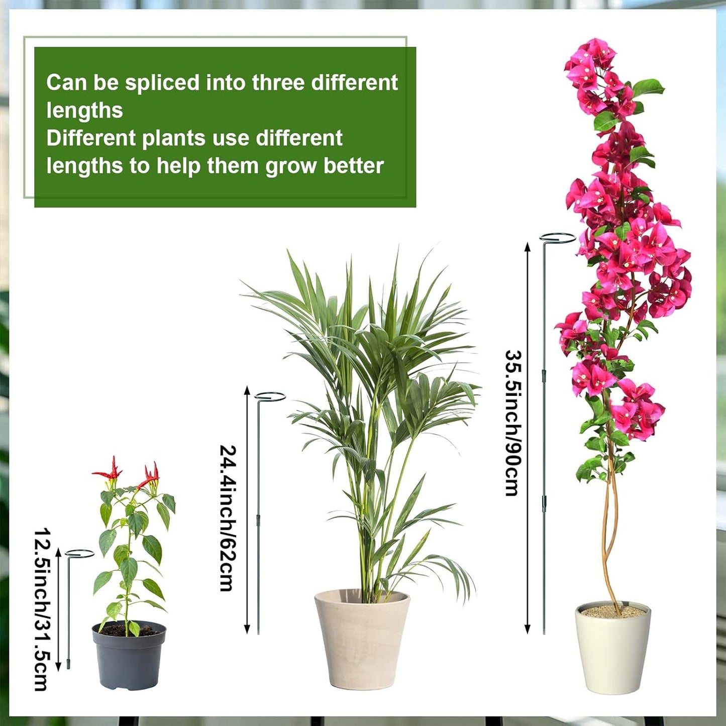 6 Sets Plant Stakes 12/25/36 Inch Adjustable Plant Support Stakes Tall for Indoor Outdoor Plant Holder Stick Steel Garden Stem Pole Amaryllis Stakes with 30 Clip for Tomato Orchid Lily Peony Flower