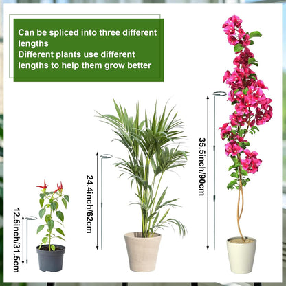 6 Sets Plant Stakes 12/25/36 Inch Adjustable Plant Support Stakes Tall for Indoor Outdoor Plant Holder Stick Steel Garden Stem Pole Amaryllis Stakes with 30 Clip for Tomato Orchid Lily Peony Flower