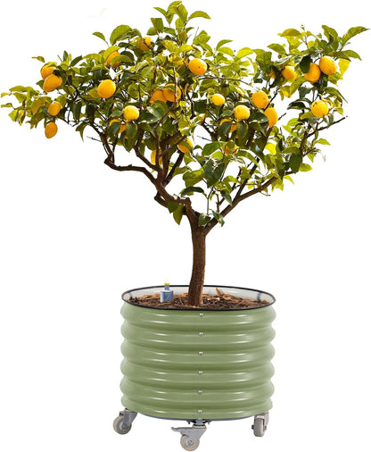 Rolling Metal Citrus Tree Planter, Self-Watering Round Planter Box for Porch Patio & Backyard, Raised Garden Bed with Wheels for Growing Trees Tomatoes Vegetables and Flowers, Single Pack-Olive Green