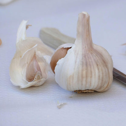 Nootka Rose Garlic ~3 Bulbs Per Bag – Non-GMO Softneck Seed Garlic for Fall Planting – Silverskin Variety – Cold Hardy – Long Storage – Grow in Garden, Raised Beds, or Containers