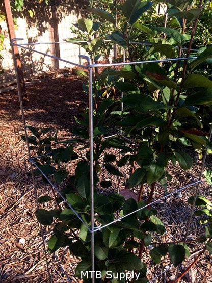 Galvanized Square Folding Tomato Cage Plant Support Stake Tower 12 inch by 46 inch, Pack of 10 Sets(Also Sold as Pack of 2 & 5,PVC Green is Available)